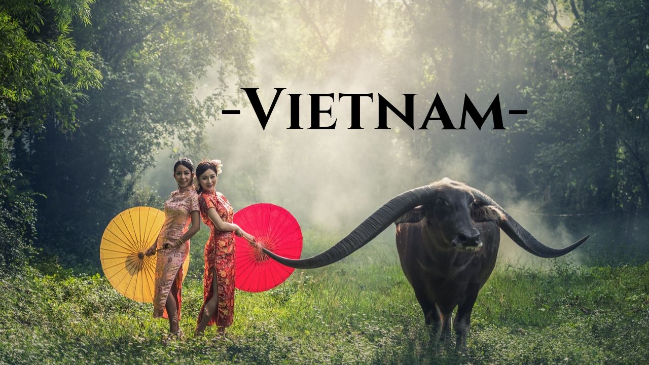 Vietnam in 11 days